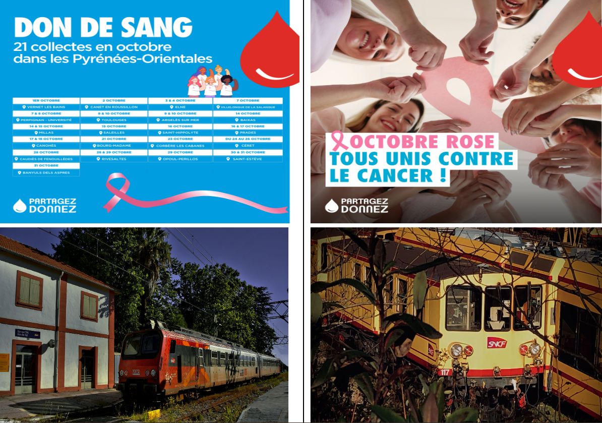 Visuels efs don du sang po octobre rose 2024 train jaune et z2